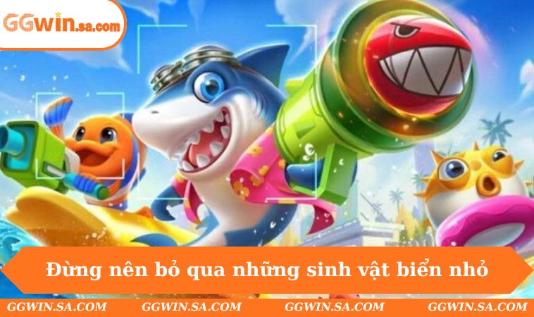 Đừng nên bỏ qua những sinh vật biển nhỏ