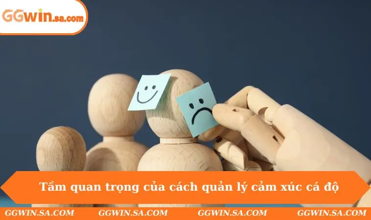 Tầm quan trọng của cách quản lý cảm xúc khi chơi cá độ
